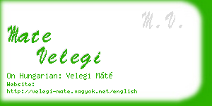 mate velegi business card