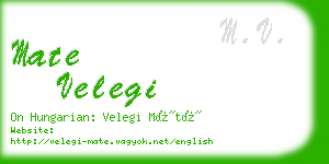 mate velegi business card